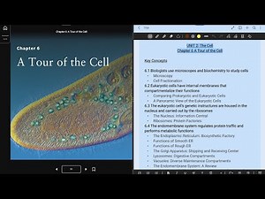 Campbell Biology (Chapter 6, Concept 6.1)