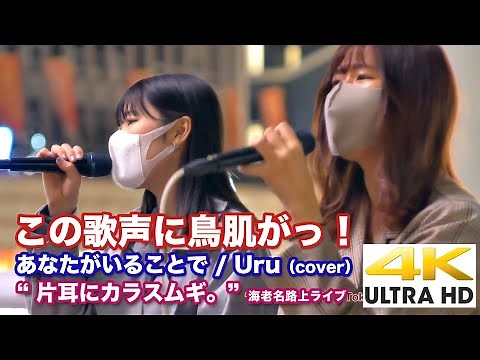 【4K】この歌声に鳥肌がっ！人気上昇中の2人組です！ あなたがいることで / Uru（cover）" 片耳にカラスムギ。（ema）" 海老名路上ライブ 4K動画