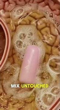 What Actually Happens when you Swallow Gum? (Inside Your Body) #anatomy #humanbody #digestivehealth