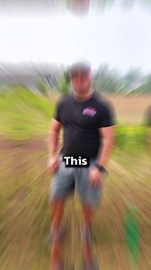 868K views · 1.9K reactions | How to Get Rid of Ants in Your Lawn! #ants #pestcontrol #lawn #lawncare | Pest Badger | Facebook