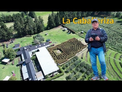 Restaurante La Caballeriza y su Campo de Girasoles, Laberinto, Caballos y mucho más en Subachoque.