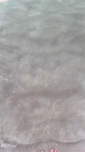 🏝️ #La_mer_beach