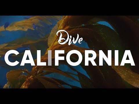 Scuba Diving in California