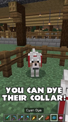 How to Tame Dogs in Minecraft - Pro Tips for Pro Gamers