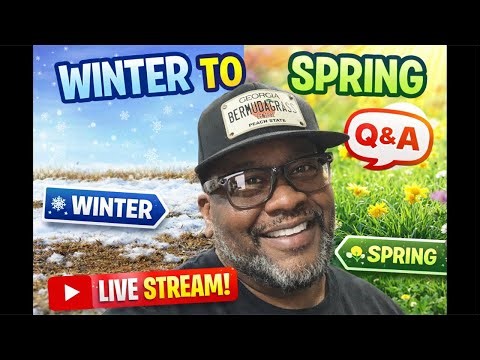 Winter to Spring Bermuda grass plan ( Do this or regret it )