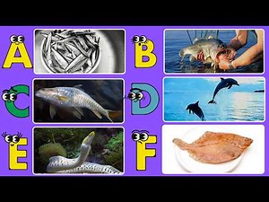 ABC Sea Animals Song for Kids | A to Z Fish & Ocean Creatures Alphabet 🐟🌊