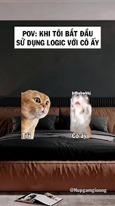 2.9M views · 40K reactions | Từ chối mọi sự giải thích (Cre: catmemes8899) #cat #memes #nupgamgiuong #j4f | Núp Gầm Giường | Facebook