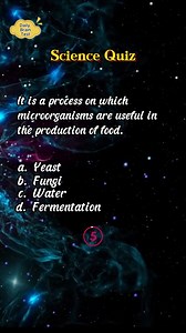 2.1K views · 72 reactions | Challenge your science knowledge by answering this short quiz. #science #knowledgesharing #educationmatters #knowledgeispower #sciencefacts | Daily Brain Quiz | Facebook