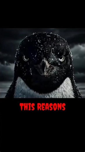 You At The Top of Minecraft 🔥