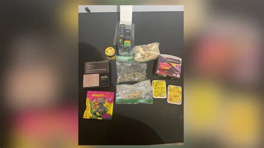 License plate reader gets driver caught with illegal drugs