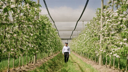 Growers tackle two-spotted mite resistance with new mode of action | Crop Science US