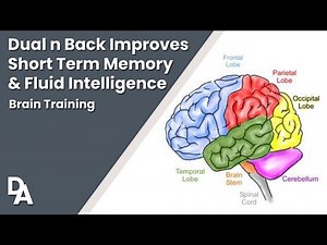 Dual N Back Memory Game Improves Working Memory & Fluid Intelligence | That Dating Anxiety Guy