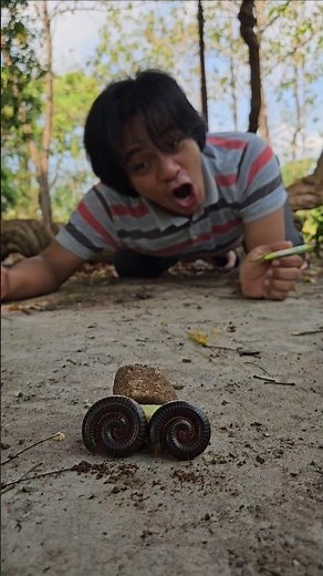 Sharing roasted corn snacks with millipedes #shorts #shortvideo #viral