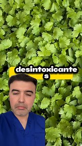 ¿Todas las hierbas medicinales son seguras y efectivas? 🌱❌ En este Reel descubrirás qué hierbas sí ayudan y cuáles pueden no ser para todos. Te explico de forma clara y sencilla la verdad sobre el romero, perejil, menta, albahaca, lavanda, ashwagandha y más. Aprende cómo usarlas correctamente para apoyar tu bienestar, energía, concentración y descanso, sin caer en mitos comunes. ⚠️🌿 La clave está en saber cuándo, cómo y quién debe usarlas. #SaludNatural #HierbasMedicinales #VidaSaludable #Bien