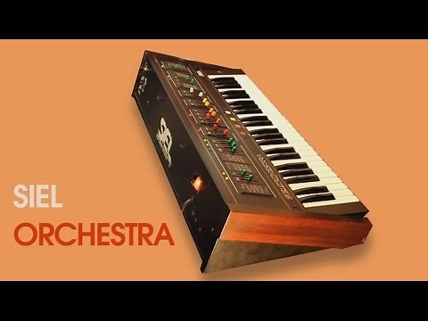 SIEL ORCHESTRA String Machine 1979 | HD DEMO