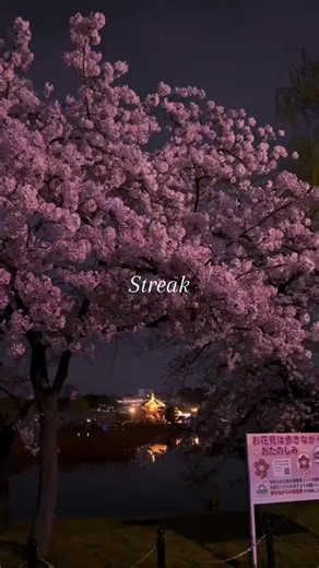 Maximizing Your Streaks with Streak API