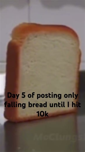 #bread#funny falling bread