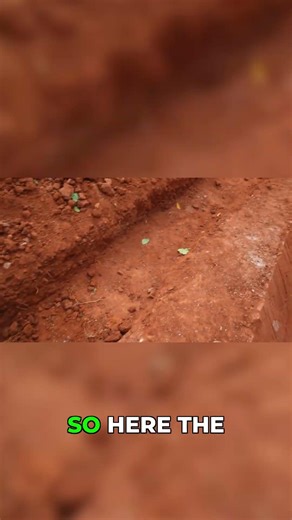 The Pond Liner Mistake Everyone Makes #organicpool #gardening