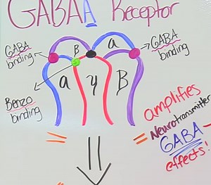 Benzodiazepines (Benzos) Nursing NCLEX Review on Anxiolytic, Sedative-Hypnotic