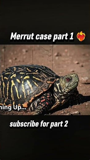 Merut animal case comment for part 2 😱 #shorts