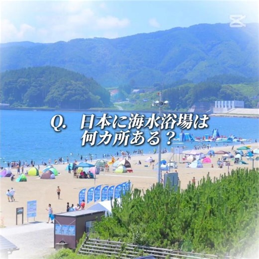 日本に海水浴場は何カ所あるのか…(´；ω；｀)#海水浴場
