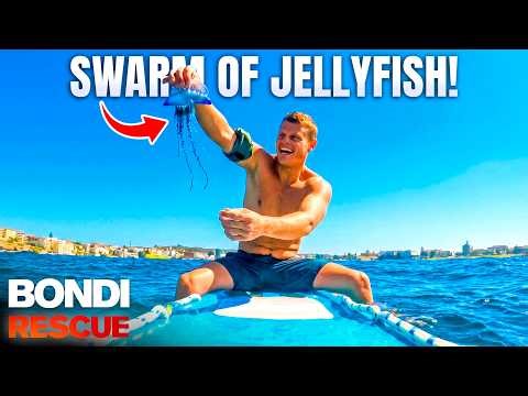 Bondi's Most DANGEROUS Animals