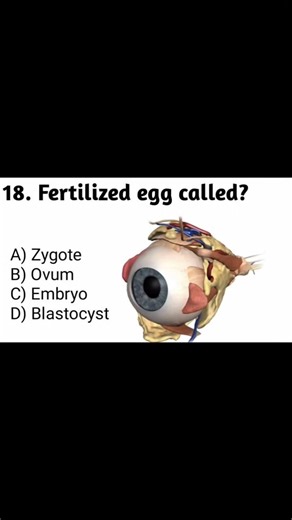 Fertilized Egg Called? 🔥 | NEET Biology MCQ | BNG - Bio Neet Global #shorts
