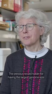 21K views · 277 reactions | Small fern breaks world record for...