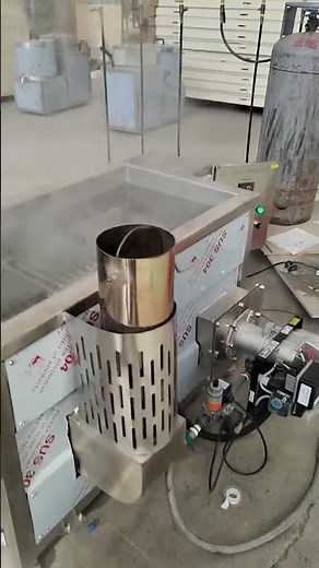 The Gas Heated Potato Chips Blanching Machine