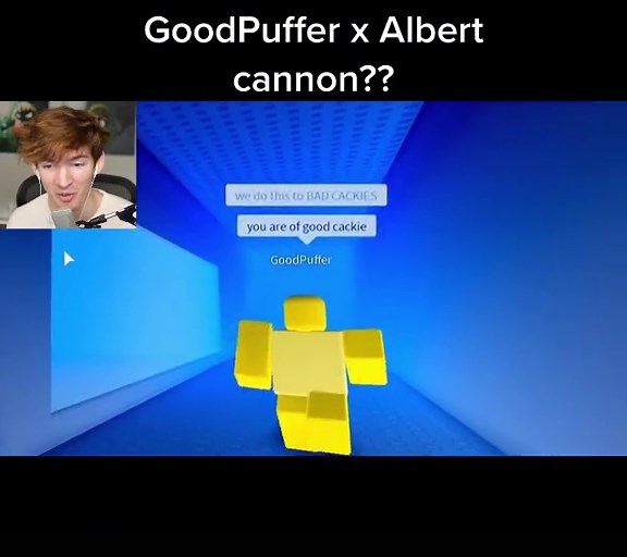 That whole video was a trainwreck of him hitting on goodpuffer and laughing at their talking 😭 #flamingo #albertstuff #flamingowastaken #flamingoclip #albertaretz #roblox #robloxclip #goodpufferandangerdfish #robloxmyths