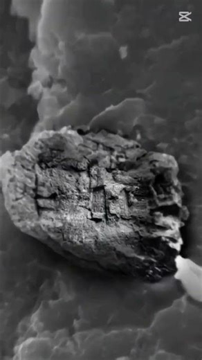 Find X in the Infinity Loop Math Puzzle | Nested Exponents Algebra #Maths