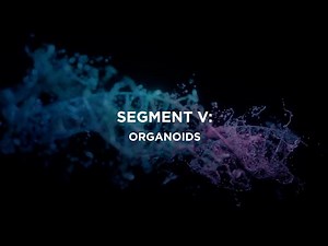 Technologies Transforming Precision Medicine - Segment V – Organoids