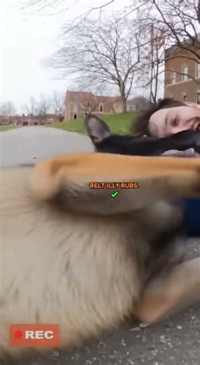 BODYCAM FOOTAGE: K9 OFFICER ARRESTS SUSPECT FOR... BEING TOO CUTE?!