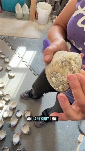 Unique Shell Jewelry Trends from Canadian Artists