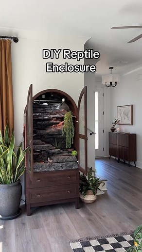 DIY Reptile Enclosure for Your Pet Lizard