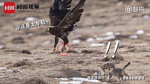 68K views · 1K reactions | Sad but laughable: A manual's futile...