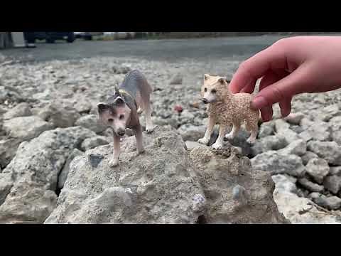 schleich Wolf series! EP 1 hunting