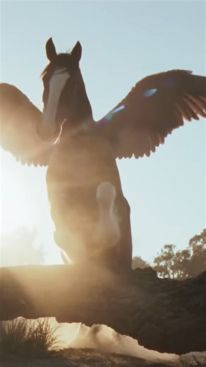 Freebird and Budweiser; name a more iconic duo. We can’t think of a better way to celebrate our legendary song than to be honored in @budweiserusa beautiful commercial. Have YOU seen it yet? #freebird #skynyrdnation #freebirdmoment #budweiser #superbowl | Lynyrd Skynyrd