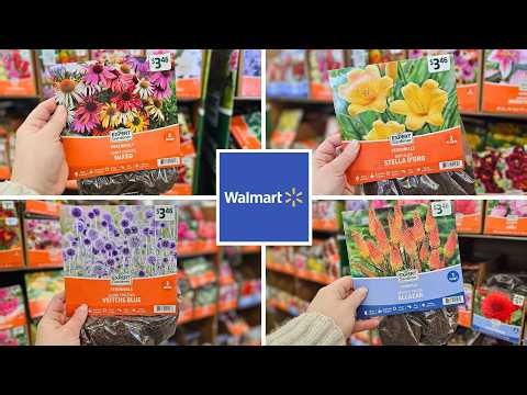 Walmart Bare Root Perennials Are In! Best Summer Bulbs | March 2026