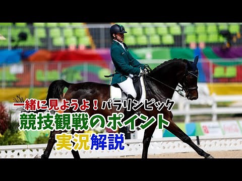 【一緒に見ようよ】パラ馬術