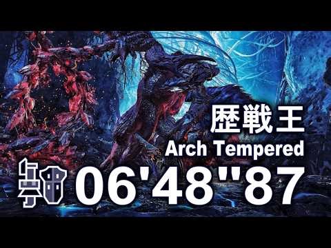 【環境利用無し】 歴戦王 アルシュベルド 不屈 猫火事場 ガンランス ソロ 06'48"87/Arch Tempered Arkveld Heroics Gunlance Solo 【MHWilds】