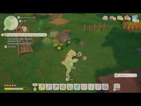 Starsand Island - How to Invert Camera Axis