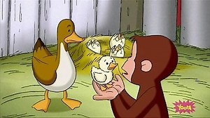 Watch Curious George Season 5 Episode 1 - George and Marco Sound It Out / A Monkey's Duckling