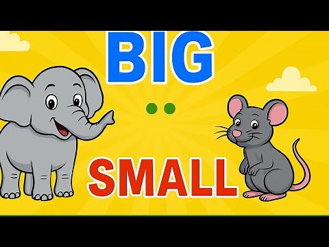 Big and Small | Size Comparison for Kids | Learn with Fun Examples! #educationalvideos #preschool