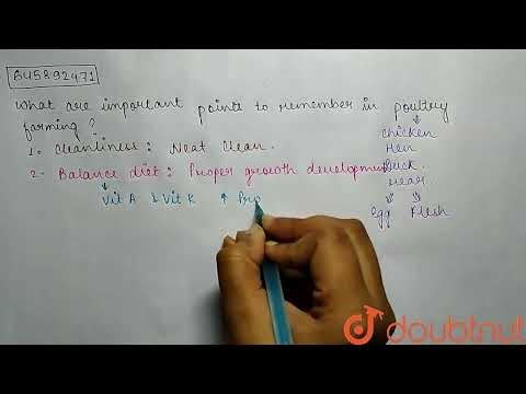 What are important points to remember in poultry farming ? | CLASS 9 | IMPROVEMENT INFOOD RESOUR...