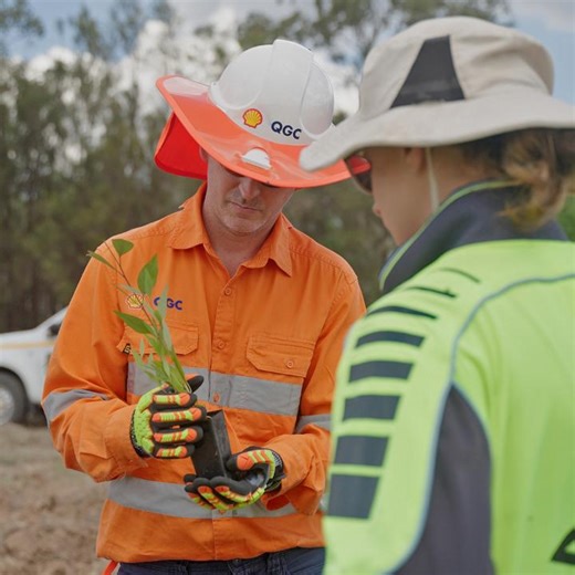 Our team has completed the first stage of a significant reforestation project in the Western Downs region planting 35,000 native tree seedlings across 86 hectares of previously cleared land 🌱 #Reforestation #Biodiversity | Shell's QGC business