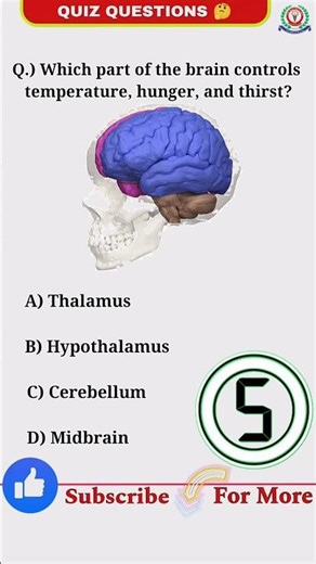 GK Quiz for SSC, Railway, NEET, Nursing, UPSC | #mcq #sciencequiz #shorts