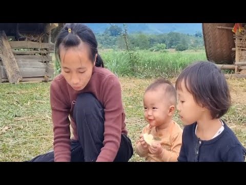 Mother and Son Pick Fresh Grapefruit to Sell | Family Farm Harvest Day