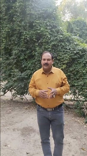 | Bhagwad Gita and Single Mind OR How to focus to earn money | Every cloud has a silver lining |