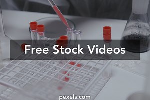 Emergency Hospital Videos, Download The BEST Free 4k Stock Video Footage & Emergency Hospital HD Video Clips